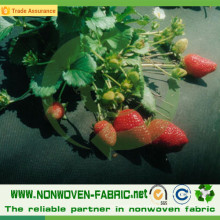 PP Nonwoven Fabric for Agriculture Weed Control/Mat